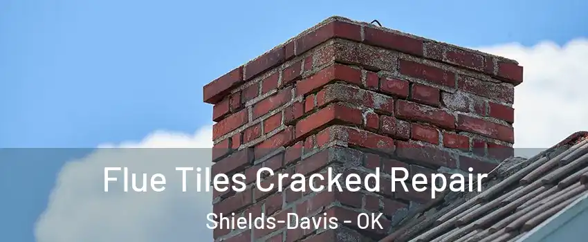 Flue Tiles Cracked Repair Shields-Davis - OK