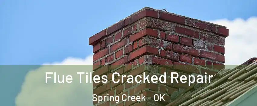 Flue Tiles Cracked Repair Spring Creek - OK