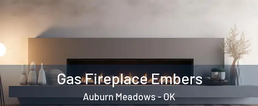 Gas Fireplace Embers Auburn Meadows - OK