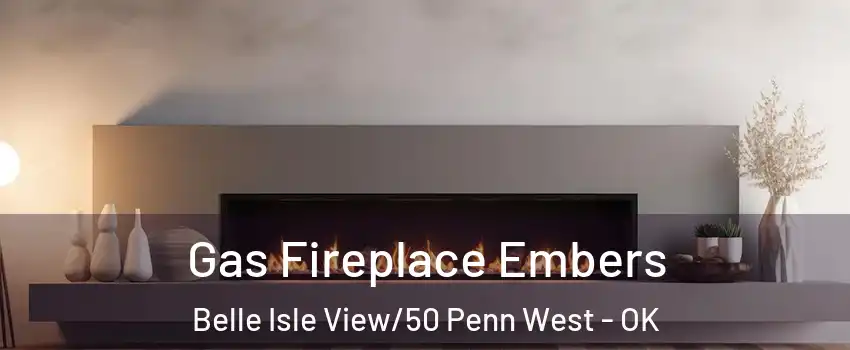 Gas Fireplace Embers Belle Isle View/50 Penn West - OK