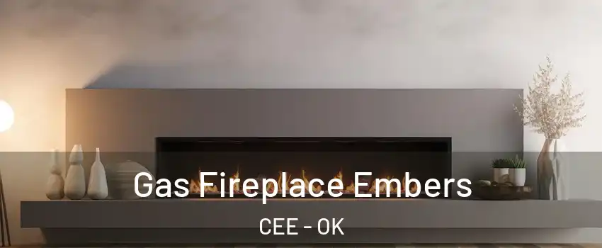 Gas Fireplace Embers CEE - OK