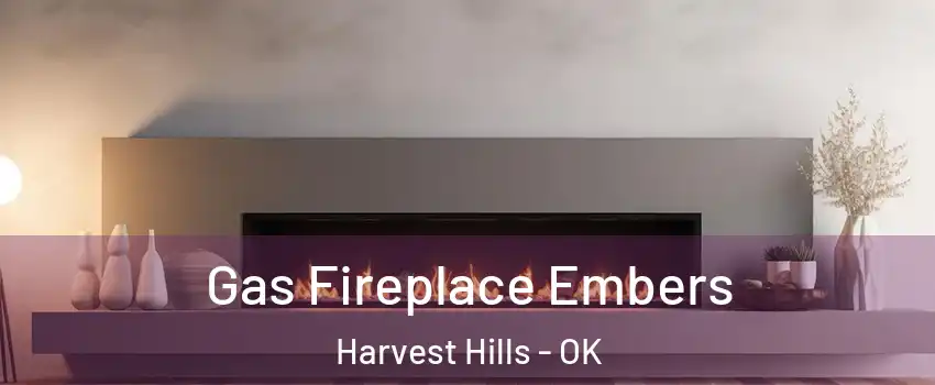Gas Fireplace Embers Harvest Hills - OK