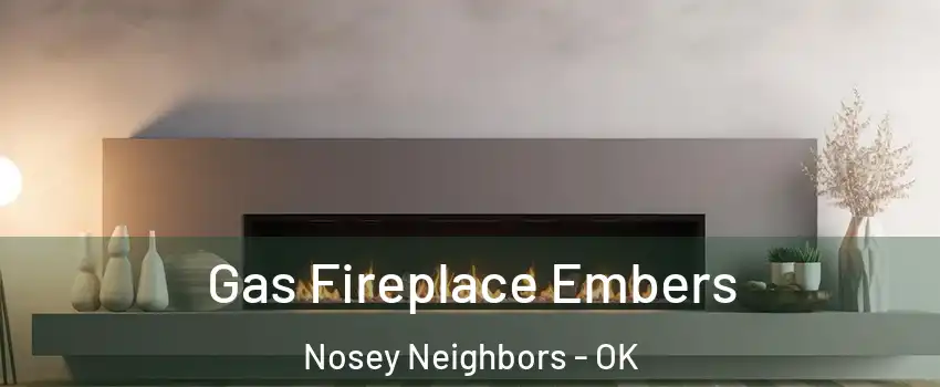 Gas Fireplace Embers Nosey Neighbors - OK