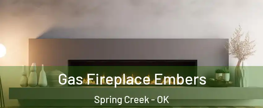 Gas Fireplace Embers Spring Creek - OK