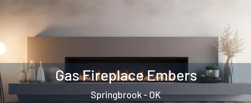 Gas Fireplace Embers Springbrook - OK