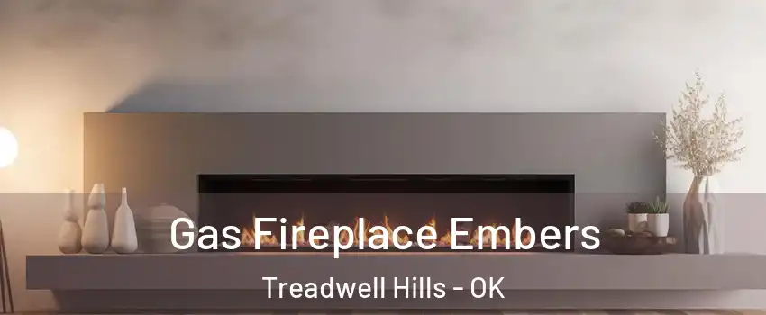 Gas Fireplace Embers Treadwell Hills - OK