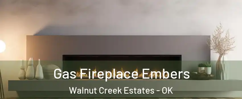 Gas Fireplace Embers Walnut Creek Estates - OK