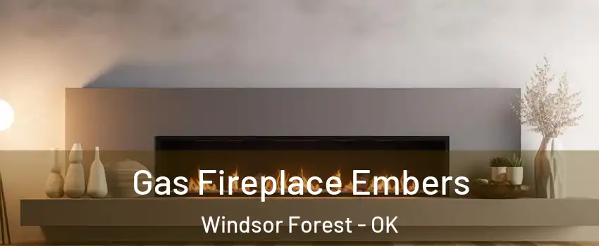 Gas Fireplace Embers Windsor Forest - OK