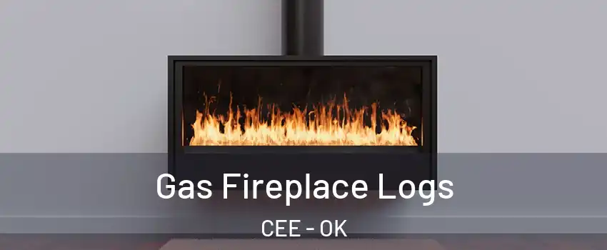 Gas Fireplace Logs CEE - OK