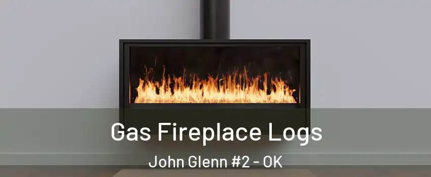 Gas Fireplace Logs John Glenn #2 - OK