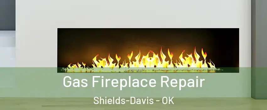 Gas Fireplace Repair Shields-Davis - OK