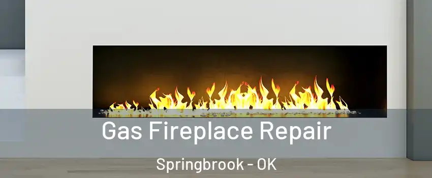 Gas Fireplace Repair Springbrook - OK