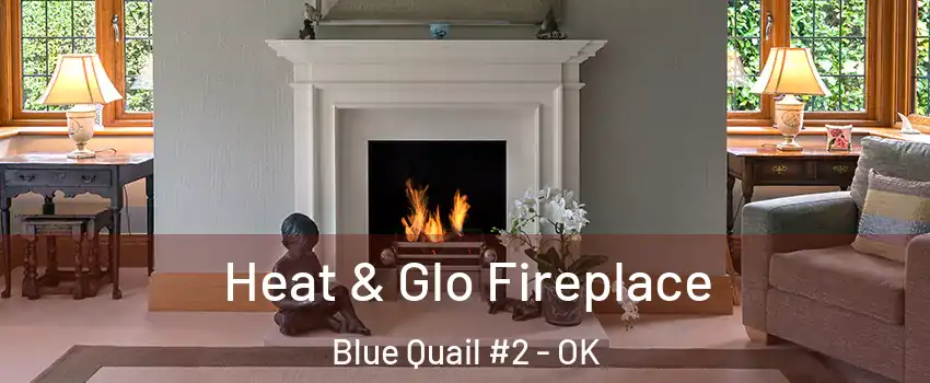Heat & Glo Fireplace Blue Quail #2 - OK