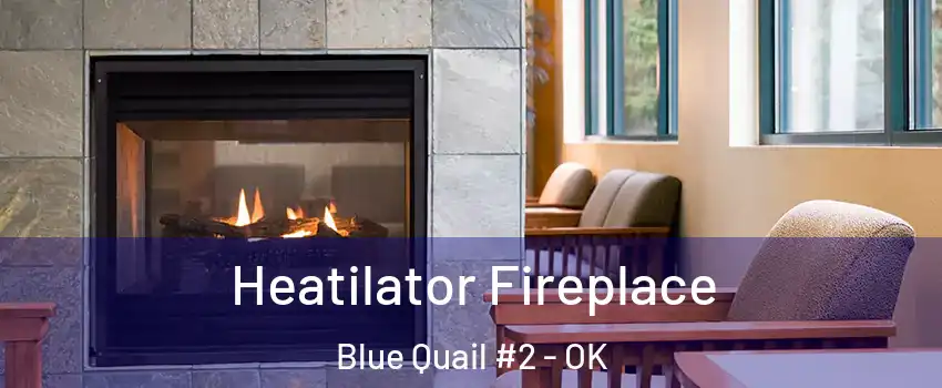 Heatilator Fireplace Blue Quail #2 - OK