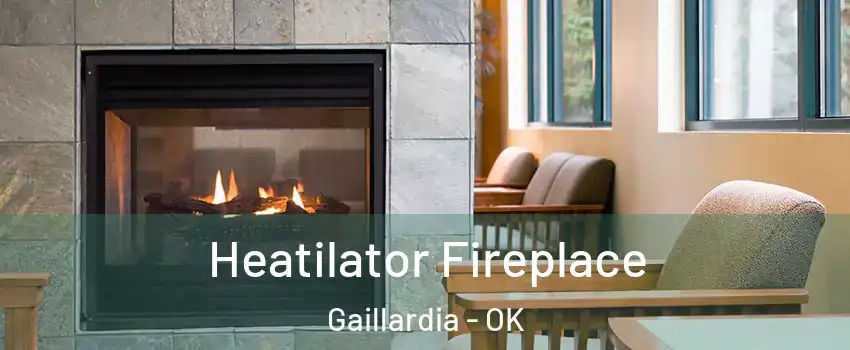 Heatilator Fireplace Gaillardia - OK