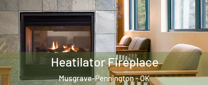 Heatilator Fireplace Musgrave-Pennington - OK