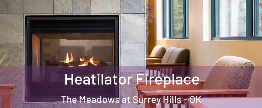 Heatilator Fireplace The Meadows at Surrey Hills - OK