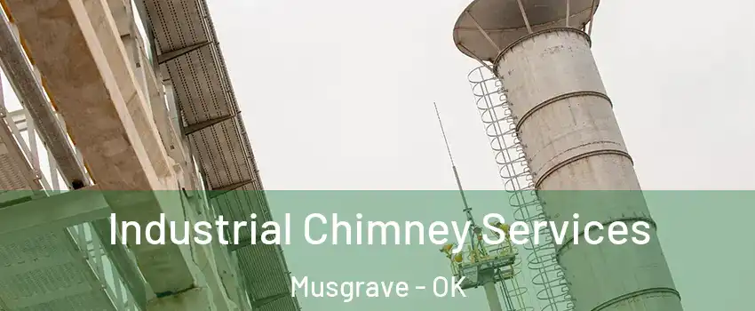Industrial Chimney Services Musgrave - OK