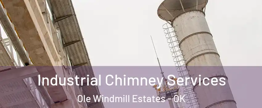 Industrial Chimney Services Ole Windmill Estates - OK