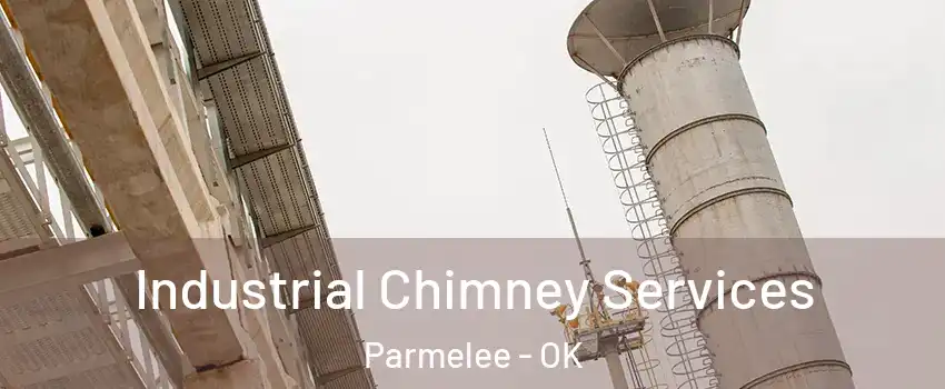Industrial Chimney Services Parmelee - OK