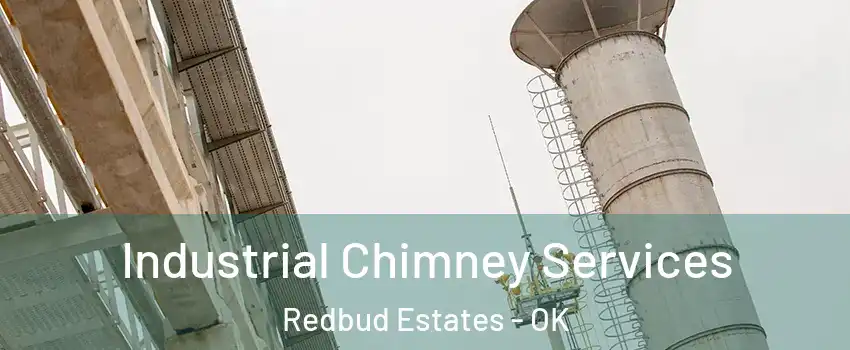Industrial Chimney Services Redbud Estates - OK