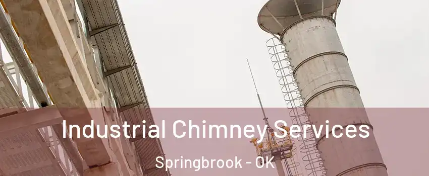 Industrial Chimney Services Springbrook - OK