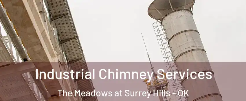 Industrial Chimney Services The Meadows at Surrey Hills - OK