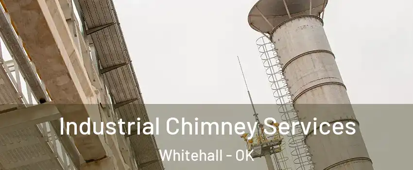 Industrial Chimney Services Whitehall - OK