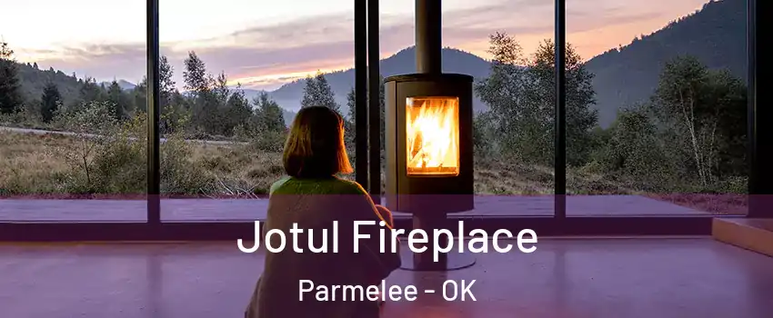 Jotul Fireplace Parmelee - OK