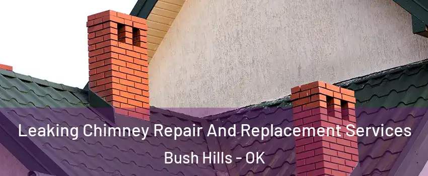 Leaking Chimney Repair And Replacement Services Bush Hills - OK