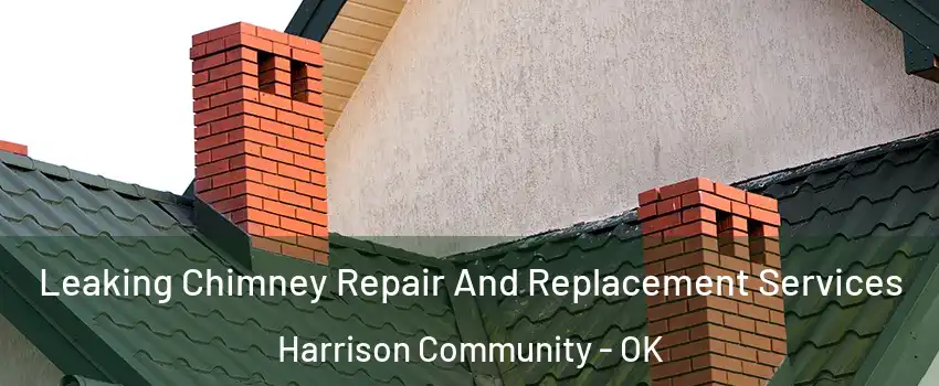 Leaking Chimney Repair And Replacement Services Harrison Community - OK