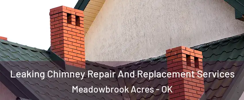 Leaking Chimney Repair And Replacement Services Meadowbrook Acres - OK
