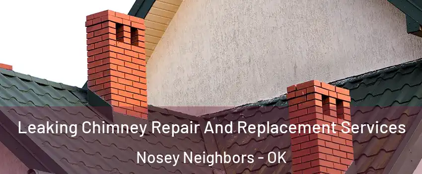 Leaking Chimney Repair And Replacement Services Nosey Neighbors - OK