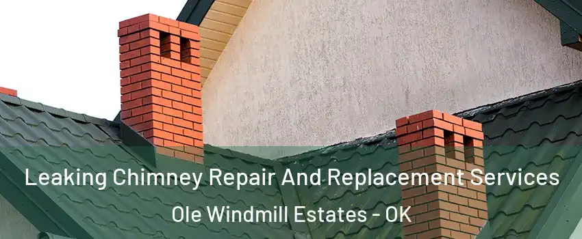 Leaking Chimney Repair And Replacement Services Ole Windmill Estates - OK