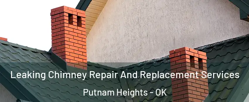 Leaking Chimney Repair And Replacement Services Putnam Heights - OK
