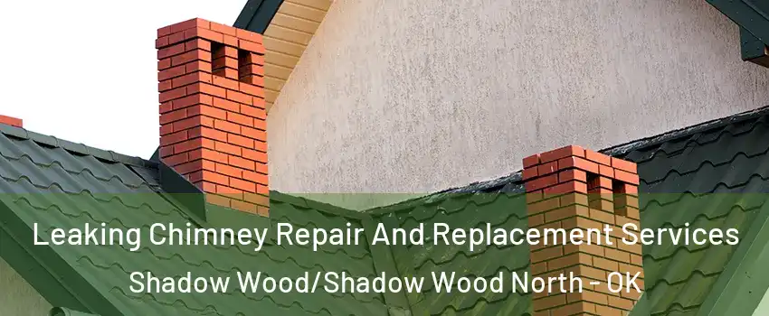 Leaking Chimney Repair And Replacement Services Shadow Wood/Shadow Wood North - OK