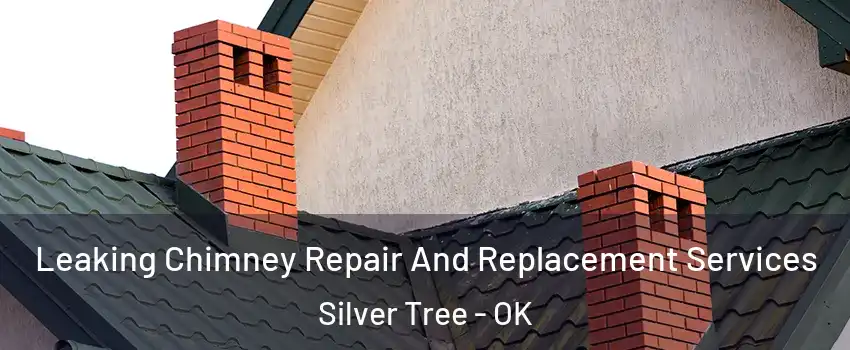 Leaking Chimney Repair And Replacement Services Silver Tree - OK