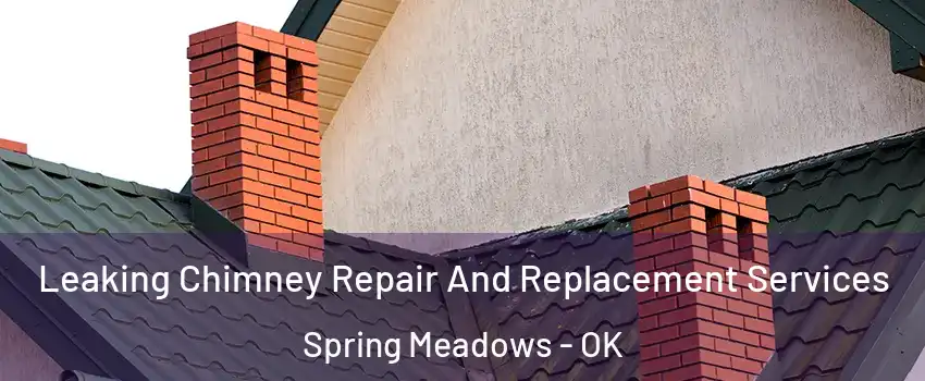 Leaking Chimney Repair And Replacement Services Spring Meadows - OK