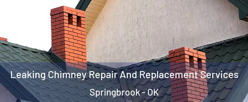 Leaking Chimney Repair And Replacement Services Springbrook - OK