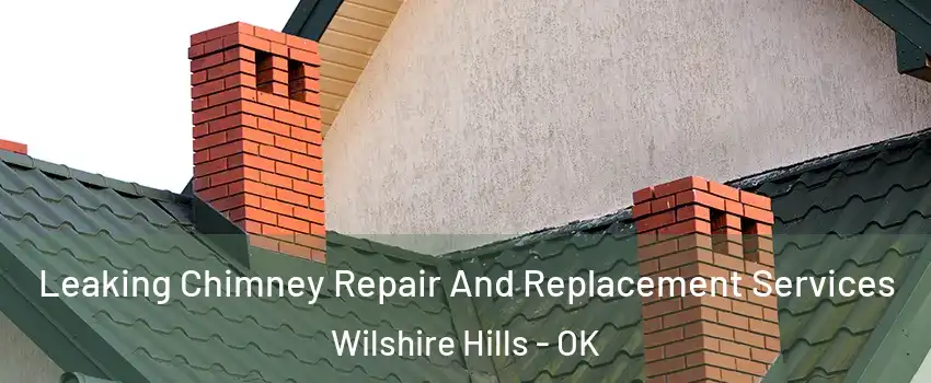 Leaking Chimney Repair And Replacement Services Wilshire Hills - OK