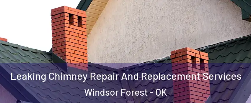 Leaking Chimney Repair And Replacement Services Windsor Forest - OK