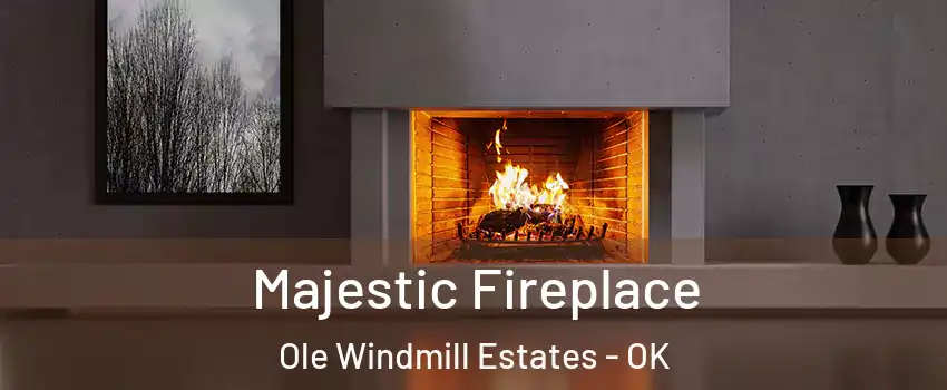 Majestic Fireplace Ole Windmill Estates - OK