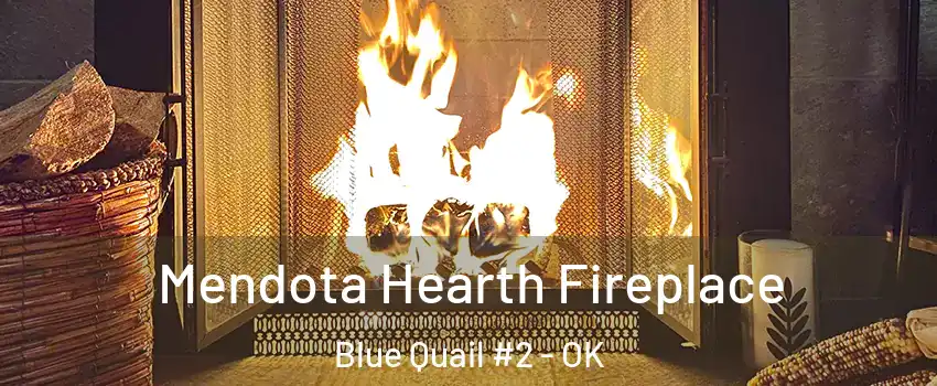 Mendota Hearth Fireplace Blue Quail #2 - OK