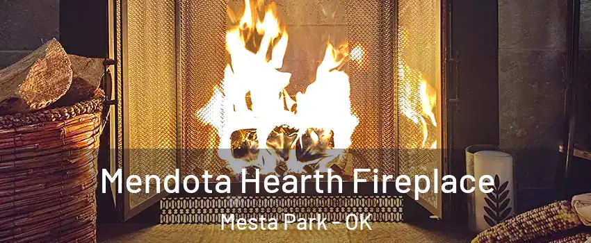 Mendota Hearth Fireplace Mesta Park - OK