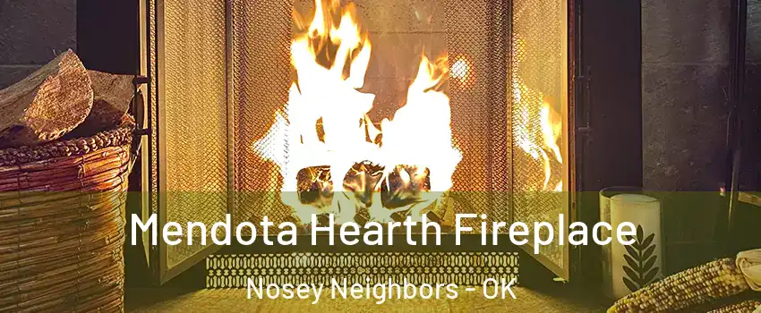 Mendota Hearth Fireplace Nosey Neighbors - OK