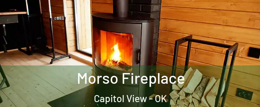 Morso Fireplace Capitol View - OK