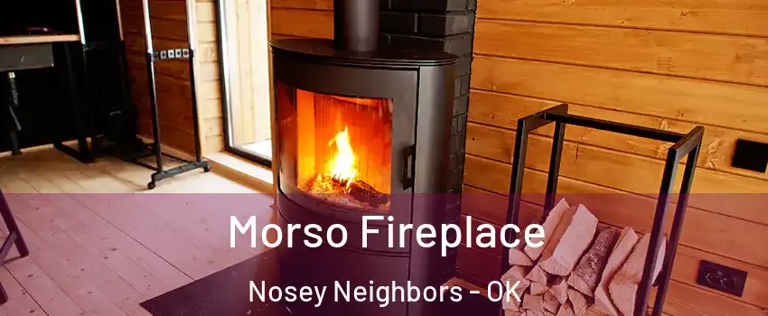 Morso Fireplace Nosey Neighbors - OK