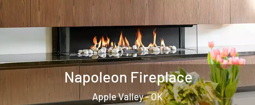 Napoleon Fireplace Apple Valley - OK