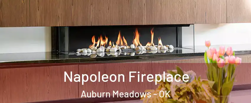 Napoleon Fireplace Auburn Meadows - OK