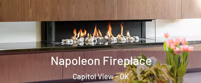 Napoleon Fireplace Capitol View - OK